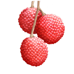 lychee