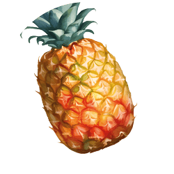 pineapple